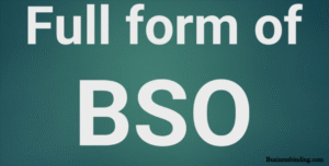 bso full form in banking